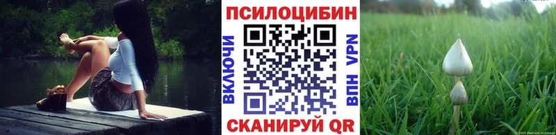 Купить  Тбилисская  Псилоцибиновые грибы Cubensis 